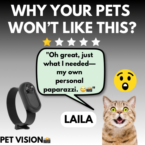 PetVision: CollarCam