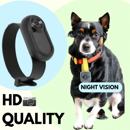 PetVision: CollarCam