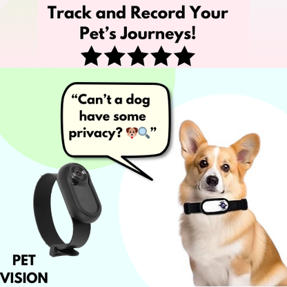 PetVision: CollarCam