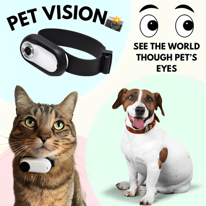 PetVision: CollarCam